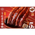 ふるさと納税 うなぎ 鹿児島県 志布志市  3月末までに配送 志布志市制20周年記念 数量限定 国産 八本木樽鰻の蒲焼(160g以上×5尾) うなぎ肝串4本セット うなぎ…