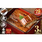ふるさと納税 うなぎ 鹿児島県 志布志市  3月末までに配送 無薬養鰻 鹿児島産 山田のうなぎ 計480g以上 （160g以上×3尾） 肝串セット うなぎ 鰻 ウナギ 無薬 …