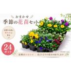 花 品種おまかせ 季節のお花 24ポット 花苗