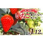 ふるさと納税 いちご 群馬県 渋川市 陽一郎園のいちご食べくらべセット イチゴ 苺 果物 くだもの フルーツ 食べ比べ 数量限定 F4H-0681
