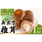野菜類 きのこ 奥出雲椎茸 秀品箱入 野菜