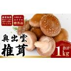 野菜類 きのこ 奥出雲椎茸 プレミアム 品 野菜