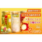 加工品等 漬物 農家の手作り ピクルス詰め合わせ