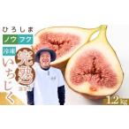 いちじく 皮むき済ですぐ美味しい 2026年発送分