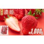 ふるさと納税 いちご 岐阜県 富加町  15048 令和8年2月25日発送 北海道・沖縄・離島配送不可 岐阜県富加町産 いちご 濃姫 セット 先行受付 250g×4 1,000g チ…