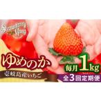 ふるさと納税 いちご 長崎県 壱岐市  贈答用 全3回定期便 先行予約 ゆめのか 約250g×4パック《壱岐市》 Strawberry Gang JEM002 いちご イチゴ 苺 定期便 果…