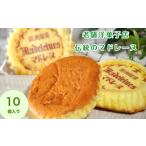 焼菓子 チョコレート マドレーヌ マドレーヌ詰め合わせ10個…