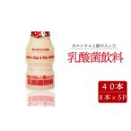 加工品等 カルシウムと鉄の入った乳酸菌飲料 65ml