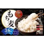 雑穀 はくばく もち麦スタンドパック 600g