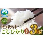ふるさと納税 玄米 福井県 越前町  令和7年産 特別栽培米コシヒカリ3kg 無農薬米 福井県認証区分1取得 越前町 白米 3キロ お米 コメ 農薬化学肥料不使用 送料…