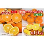 ふるさと納税 果物類 みかん 愛媛県 宇和島市 訳あり 季節 の みかん 詰合せ 10kg 矢野青果 フルーツ 詰め合わせ セット 柑橘 ミカン 蜜柑 mikan 果物 くだも…