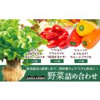 セット 詰合せ サラ詰め合わせセット 野菜13個