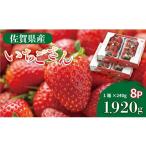 いちご R9年1月下旬頃出荷開始 いちごさん 240g×8P