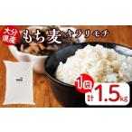 米 パン 産もち麦 キラリモチ 計1.5kg