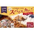 惣菜 レトルト 冷蔵 カラダ想いのスパイスカレープラスワン