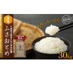 ふるさと納税 玄米 千葉県 長生村 H04-B05 ふさおとめ（玄米30kg）令和8年産