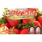 ショッピングふるさと納税 いちご ふるさと納税 いちご 神奈川県 小田原市 大粒厳選　神奈川県新品種「かなこまち」　完熟イチゴ　苺　2パック入り