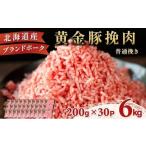 ふるさと納税 豚肉 ハンバーグ 北海道 伊達市  3月発送 黄金豚 ブランドポーク 北海道 豚ひき肉 普通挽き 200g 30パック 計6kg | 伊達産 黄金豚 三元豚 ミンチ…