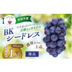 果物類 ぶどう 2026年 岡山 BKシードレス