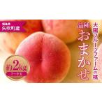 ふるさと納税 もも 福島県 矢吹町 大陽フルーツファームの桃 約2kg（7〜9玉）品種おまかせ もも モモ F6U-370
