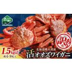 ふるさと納税 カニ ずわいガニ 北海道 森町  先行予約 訳あり 北海道噴火湾産 活オオズワイガニ1.5kg 道産ネットミツハシ かに カニ 蟹 ガニ がに 森町 ふるさ…