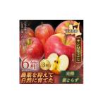 りんご 青森直送 季節の味覚をお届け サン早生ふじ