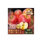 りんご 青森直送 季節の味覚をお届け サン早生ふじ 3kg×3箱