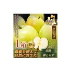 りんご 青森直送 季節の味覚をお届け サンとき 10kg×1箱