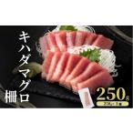 マグロ MT010-1 キハダマグロ 柵 冷凍 250g
