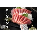 マグロ MT010-4 キハダマグロ 柵 冷凍 2kg