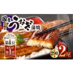 ふるさと納税 うなぎ 鹿児島県 鹿屋市  7営業日以内に発送 鹿児島県大隅産うなぎ蒲焼2尾（290g）　KN110-001-YM
