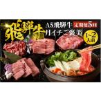 牛肉 セット 5ヶ月定期便 A5 飛騨牛 ちょこちょこお届け
