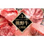牛肉 ステーキ 全3回定期便 高級和牛 熊野牛