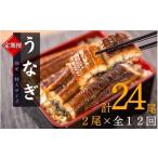 大型サイズ ふっくら柔らか うなぎ蒲焼き 2尾×12回