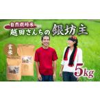 令和7年産 新米のと米 精米 5kg×1袋