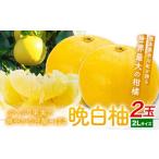 みかん 柑橘類 晩白柚 2玉