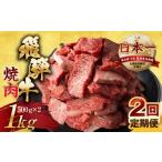 ふるさと納税 牛肉 焼肉・バーベキュー 岐阜県 本巣市  定期便 訳あり 飛騨牛 焼肉 切り落とし 500g × 2 計 1kg 2回お届け定期便 | 牛肉 肉 切落し わけあり …