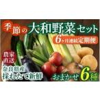 セット 詰合せ 6ヶ月定期便 季節の大和野菜