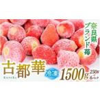 いちご 冷凍 古都華 約1.5kg