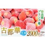 いちご ブランド苺 冷凍 古都華 約2kg
