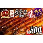 ふるさと納税 うなぎ 宮崎県 新富町  2026年3月お届け 特大 うなぎ 鰻楽 国産 蒲焼 4尾 計800g以上 無頭 高評価 おすすめ 冷凍 簡単調理 個包装 鰻 魚介 贈答…