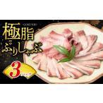 旬の鮮魚等 荒木さん家のブリ ブリしゃぶセット