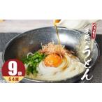 うどん 乾めん 南 通常配送 モチモチでつるっと食感