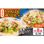 麺類 南 通常発送 冷凍 長崎ちゃんぽん 皿うどん