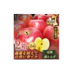 りんご 青森直送 季節の味覚をお届け サンはるか