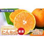 みかん 柑橘類 2027年2月下旬頃~出荷予定