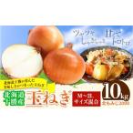 ショッピングふるさと納税 玉ねぎ ふるさと納税 ねぎ・玉ねぎ 北海道 本別町 玉ねぎ 10kg 北もみじ2000 山下農場《9月中旬-10月末頃出荷》 北海道 本別町 たまねぎ タマネギ 万能 北海道産 玉ね…