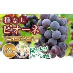 ぶどう 令和8年発送 種なしピオーネ ニューピオーネ 2kg