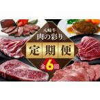 牛肉 サーロイン 肉の彩り6ヶ月定期便 N0105-YF103