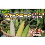 とうもろこし 2027年 南国フルーツコーン